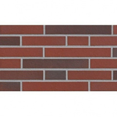 Клінкерна плитка ABC Klinkerguppe Teuto handstrich rot-bunt 365*52*10 мм (2107-L) Обухів