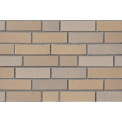Клінкерна плитка ABC Klinkerguppe Elmshorn-ocker-grau 240x71x10 мм (2108) Кропивницький