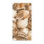 Плитка керамическая Golden Tile Sea Breeze Shells декоративная 300х600 мм бежевый (Е11421) Ивано-Франковск