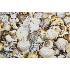 Декор Opoczno Nizza shells inserto B 300х450 мм Чернигов