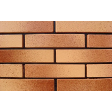 Фасадна облицювальна цегла АВС-Klinkergruppe Leather&Honey 220х105х48 мм (Ref. 3200 L)