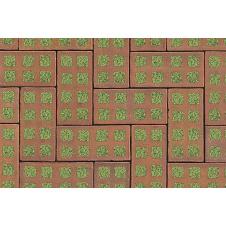 Тротуарная клинкерная плитка АВС-Klinkergruppe Lachsrot 200х100х40 мм (L Rasenklinker 08)