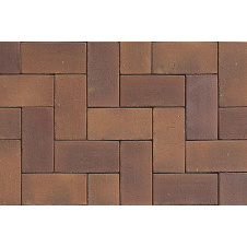 Тротуарна клінкерна плитка АВС-Klinkergruppe Herbstlaub 200х100х40 мм (L PK 07/PK40)