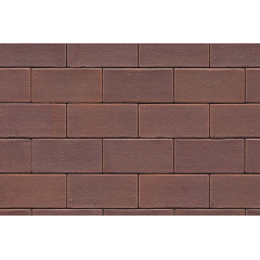 Тротуарная клинкерная плитка АВС-Klinkergruppe Rotbraun-bunt 200х100х40 мм (L PK 04) Львов