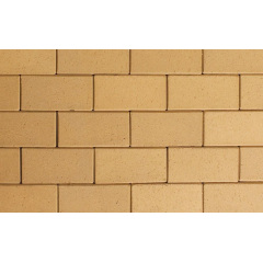 Тротуарная клинкерная плитка АВС-Klinkergruppe Lederfarben 200х100х40 мм (0925) Запорожье