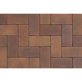 Тротуарная клинкерная плитка АВС-Klinkergruppe Herbstlaub 200х100х40 мм (L PK 07/PK40)