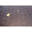 Тротуарна плитка Золотий Мандарин Сота на сірому цементі 140х125х60 мм (коричневий) Київ
