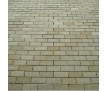 Тротуарна плитка Золотий Мандарин Цегла стандартна 200х100х60 мм на сірому цементі гірчичний