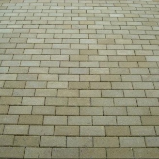 Тротуарна плитка Золотий Мандарин Цегла стандартна 200х100х80 мм на сірому цементі гірчичний