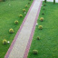 Тротуарная плитка Золотой Мандарин Кирпич стандартный 200х100х40 мм на сером цементе горчичный Львов