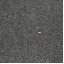 Тротуарная плитка Золотой Мандарин Кирпич стандартный 200х100х60 мм на сером цементе черный Кропивницкий