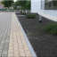 Тротуарна плитка Золотий Мандарин Цегла стандартна 200х100х60 мм персиковий на білому цементі Київ