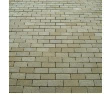 Тротуарная плитка Золотой Мандарин Кирпич стандартный 200х100х80 мм горчичный на белом цементе