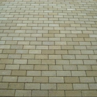 Тротуарная плитка Золотой Мандарин Кирпич стандартный 200х100х80 мм горчичный на белом цементе