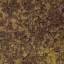 Тротуарна плитка Золотий Мандарин Цегла без фаски 200х100х60 мм генуя Тернопіль