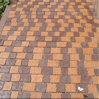 Тротуарная плитка Золотой Мандарин Креатив 60 мм персиковый на белом цементе