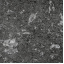 Тротуарная плитка Золотой Мандарин Квадрат Антик 160х160х90 мм полный прокрас черный Тернополь