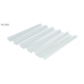 Профнастил Rauni HC-44 1055x0,45 мм Union Steel (Корея) RAL 9003