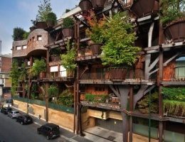 Вертикальний ліс Urban Tree House захищає своїх жителів і формує унікальний мікроклімат ФОТО