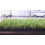 Искусственная трава для газона Yp-20 4 м Вышгород