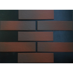 Фасадна плитка клінкерна Paradyz CLOUD BROWN DURO 24,5x6,6 см Тернопіль