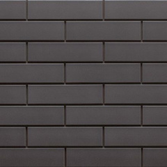 Фасадная плитка Cerrad гладкая 245х65х6,5 мм szara Житомир