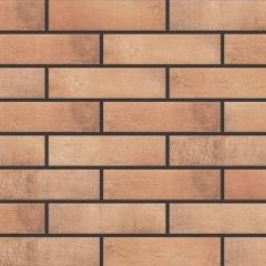 Фасадная плитка Cerrad Loft brick структурная 245х65х8 мм сurry Полтава