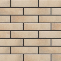 Фасадна плитка Cerrad Retro brick структурна 245х65х8 мм salt Київ