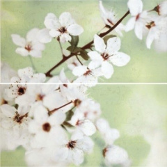 Плитка Opoczno Early Spring panno flower 59,4x60 см Чернігів