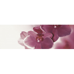 Плитка декоративна Paradyz Abrila Inserto Kwiat B 200х600х9,5 мм Чернівці
