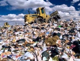 Измените привычки для будущего детей: как сортировать мусор дома