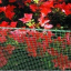 Сітка для огорожі декоративна Tenax Quadra 9x9 мм 1x50 м зелена Київ