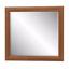 Зеркало Мебель-Сервис Даллас 890х795 мм каштан Одесса