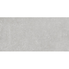 Керамограніт для стін і підлоги Golden Tile Stonehenge 300х600 мм light grey (44G530) Запоріжжя