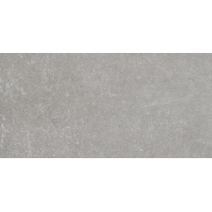Керамограніт для стін і підлоги Golden Tile Stonehenge 300х600 мм grey (442530) Кропивницький