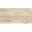 Керамічна плитка для підлоги Golden Tile Alpina Wood 307x607 мм beige (891940) Львів