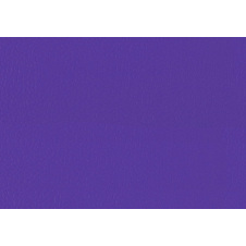 Спортивний лінолеум LG Hausys Sport Leisure 4.0 Solid 4 мм 28,8 м2 purple (LES6701-01)