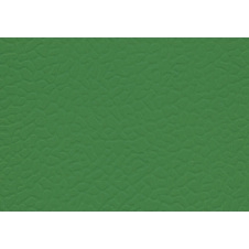 Спортивний лінолеум LG Hausys Sport Leisure 4.0 Solid 4 мм 28,8 м2 dark green (LES6606-01)