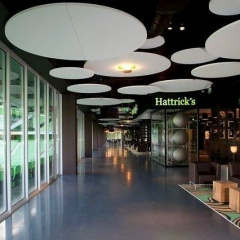 Акустичний дизайнерський острів Rockfon Eclipse КОЛО 800х40 мм Львів