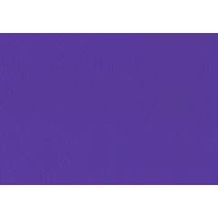 Спортивный линолеум LG Hausys Sport Leisure 4.0 Solid 4 мм 28,8 м2 purple (LES6701-01) Черновцы