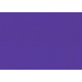 Спортивный линолеум LG Hausys Sport Leisure 4.0 Solid 4 мм 28,8 м2 purple (LES6701-01)