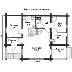 Дерев'яний будинок з оциліндрованої колоди 8х11 м Бучач