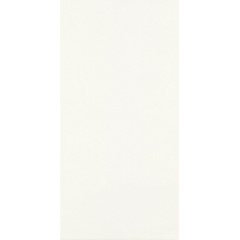 Настінна плитка Paradyz Taiga Ivory Rekt 295х595 мм (1179573) Київ