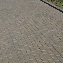 Тротуарна плитка Золотий Мандарин Цегла стандартна 200х100х80 мм на сірому цементі гірчичний Хуст