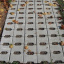 Тротуарная плитка Золотой Мандарин Двойное Т 200х170х100 мм серый Киев