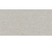 Керамогранитная плитка Stevol Stone lapatto light grey 40х80 см (W4817AII-B)