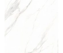 Керамогранит Stevol Элитный Marble tiles Calacatta глазурованный полированный 60х60 см (X6PT01)