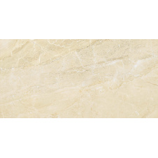 Керамогранітна плитка Stevol Biege marble 40х80 см (W482121B-B)