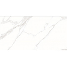 Керамограніт Stevol Staturio calacatta 60х120 см (T61295)