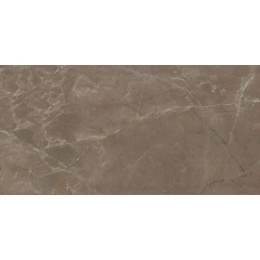 Керамогранит Stevol Pulpis brown 60х120 см (PD1621204P) Полтава